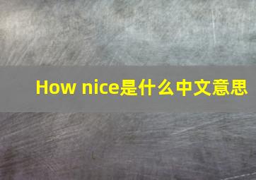 How nice是什么中文意思